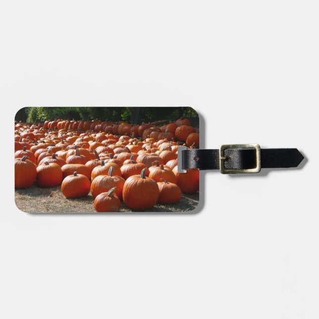 Pumpkin Patch Autumn Harvest Photography Bagagebricka (Horisontell Framsida)