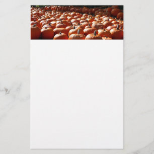 Pumpkin Patch Autumn Harvest Photography Brevpapper