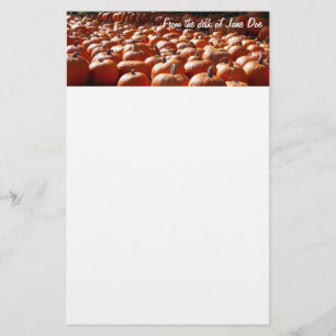 Pumpkin Patch Autumn Harvest Photography Brevpapper