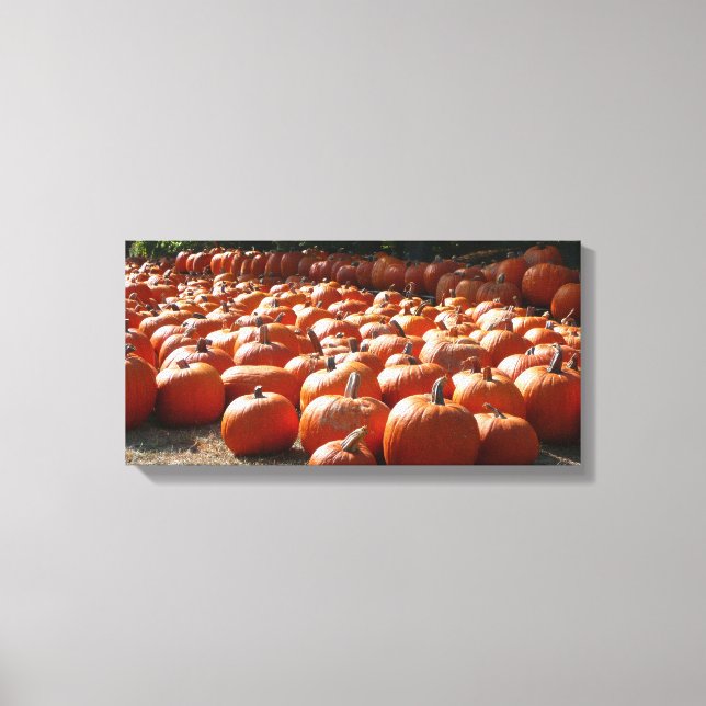 Pumpkin Patch Autumn Harvest Photography Canvastryck (Framsida)