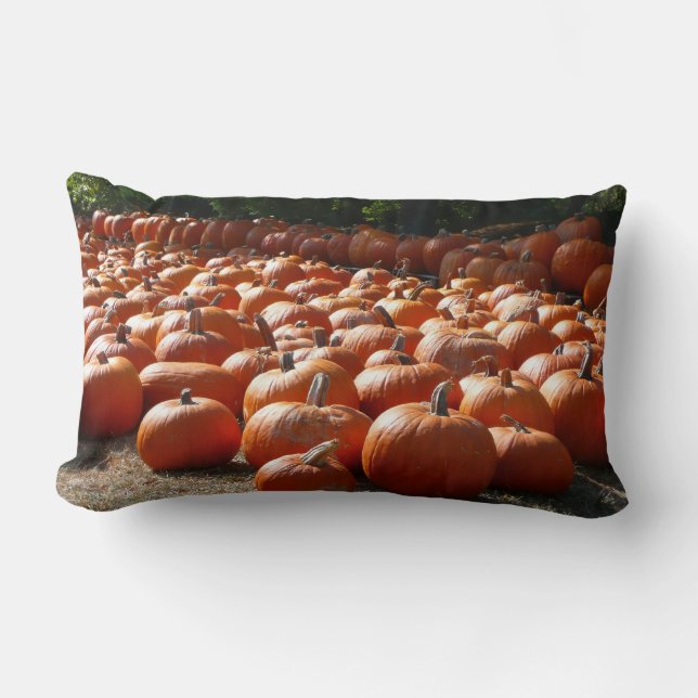 Pumpkin Patch Autumn Harvest Photography Lumbarkudde (Framsida)
