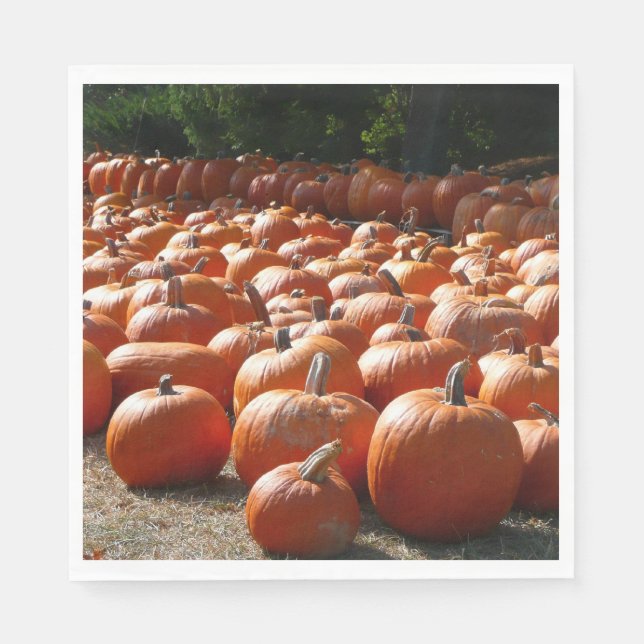 Pumpkin Patch Autumn Harvest Photography Pappersservett (Framsidan)