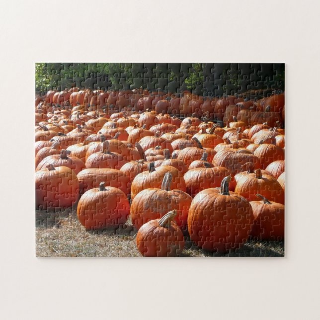 Pumpkin Patch Autumn Harvest Photography Pussel (Horisontell)