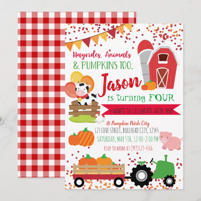Pumpkin Patch Farmer Boys Red Gingham Birthday Inbjudningar (Fram/baksida)