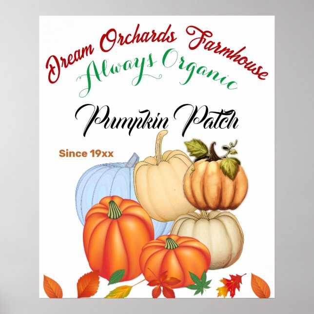 Pumpkin Patch Farmhouse Organic Harvest Fall Färg Poster (Framsidan)