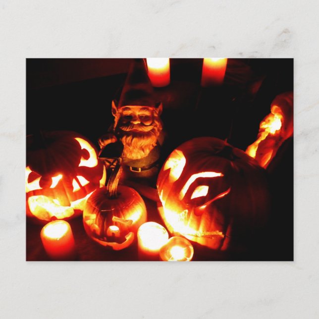 Pumpkin Patch Gnome III Vykort (Framsida)