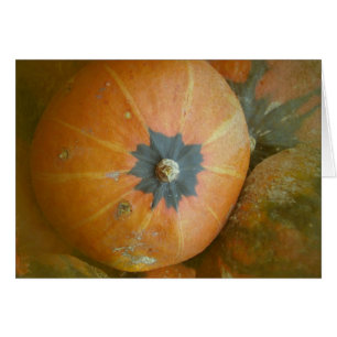 Pumpkin Patch Hälsningskort
