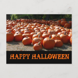 Pumpkin Patch Happy halloween Vykort