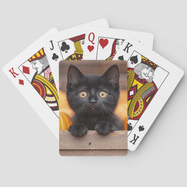 Pumpkin Patch Kitten Casinokort (Baksidan)