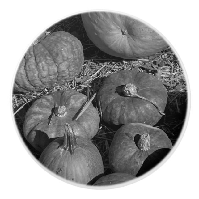 Pumpkin Patch Knopp (Framsidan)