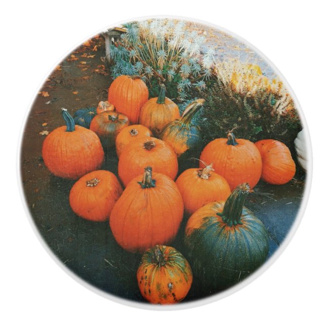 Pumpkin Patch Knopp (Framsidan)