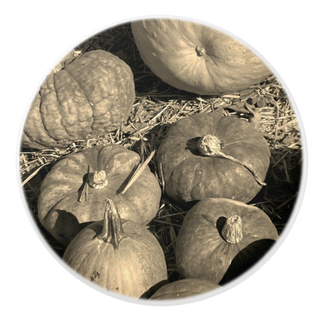 Pumpkin Patch Knopp (Framsidan)