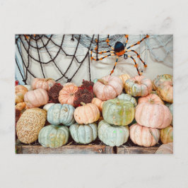 Pumpkin Patch Magic Postcard Vykort