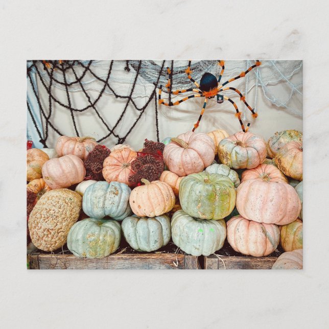 Pumpkin Patch Magic Postcard Vykort (Framsida)