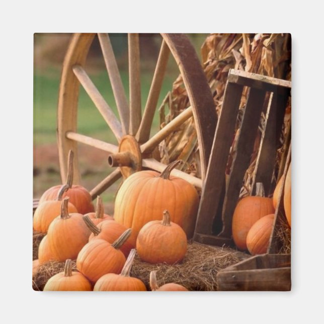 Pumpkin Patch Magnet (Framsidan)