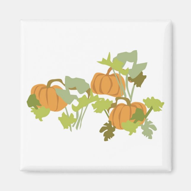 Pumpkin Patch Magnet (Framsidan)