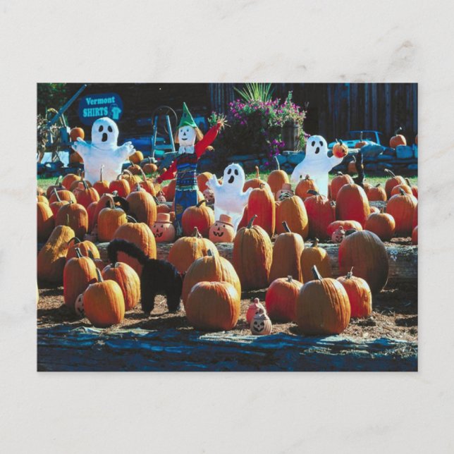 Pumpkin Patch med Spöken - vykort (Framsida)