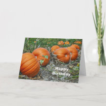 Pumpkin Patch Photo Birthday