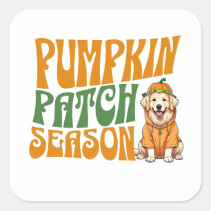 Pumpkin Patch Season Golden Retriever Fall Fyrkantigt Klistermärke