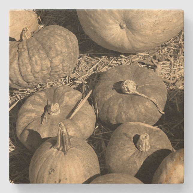Pumpkin Patch Stenunderlägg (Framsidan)