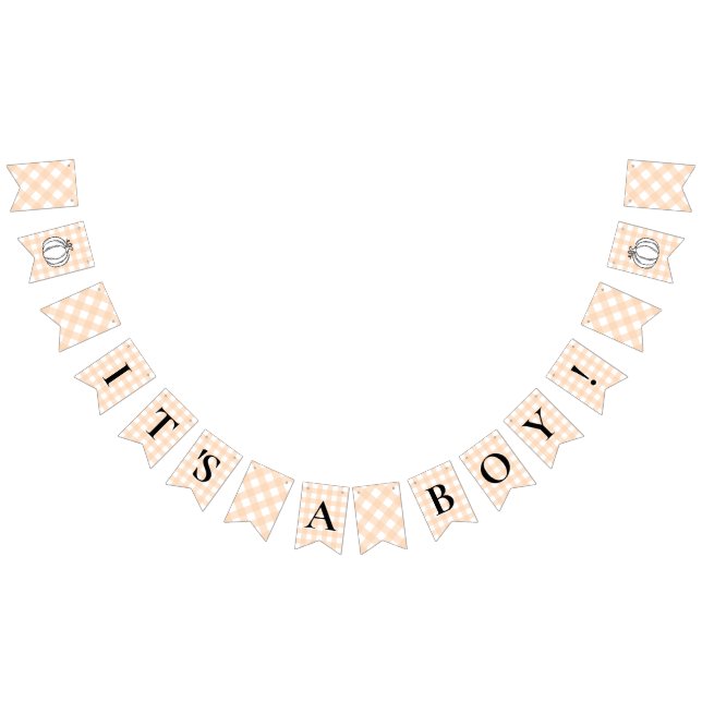 Pumpkin Peach Gingham Baby Shower Bunting Flaggor (Alla)