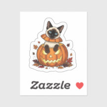 Pumpkin Peek Siamese - Cute Halloween Siamese Cat