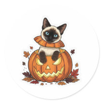 Pumpkin Peek Siamese - Cute Halloween Siamese Cat