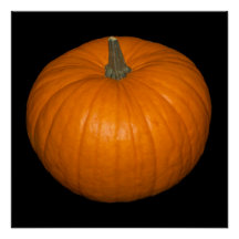 Pumpkin Photo on Black Background