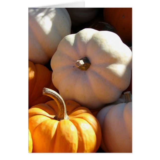 Pumpkin Pile Hälsningskort (Framsidan)