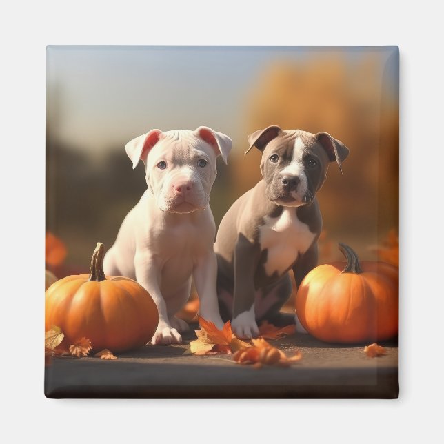 Pumpkin Pitbull Puppy Autumn Delight Pumpkin Magnet (Framsidan)
