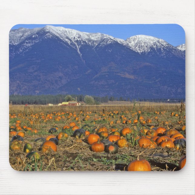 Pumpkin-plåster av Flathead Valley Montana Musmatta (Framsidan)