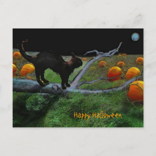Pumpkin-plåster, Happy halloween Vykort