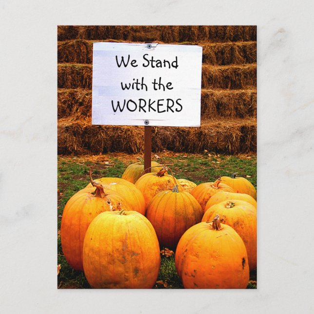 Pumpkin Protest - permanent w/Labour Vykort (Framsida)