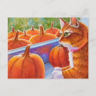 Pumpkin, Pumpkin Cat Vykort