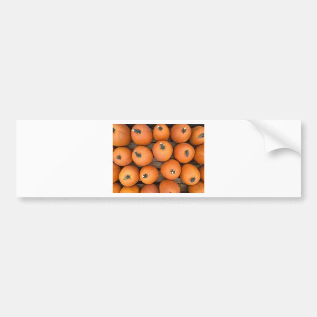 Pumpkin Rows Bildekal (Framsidan)