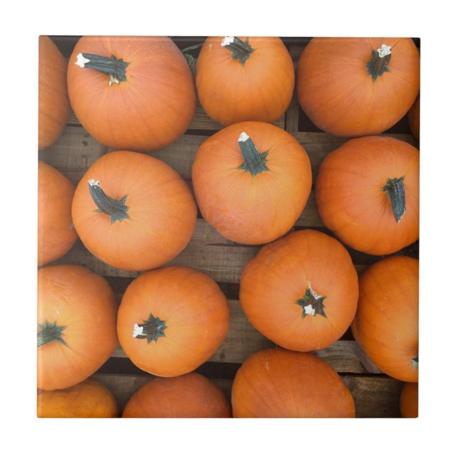 Pumpkin Rows Kakelplatta (Framsidan)