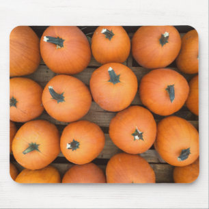 Pumpkin Rows Musmatta