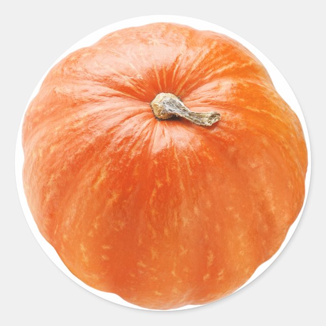 Pumpkin Runt Klistermärke (Framsida)
