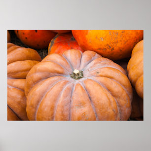 Pumpkin Season Poster