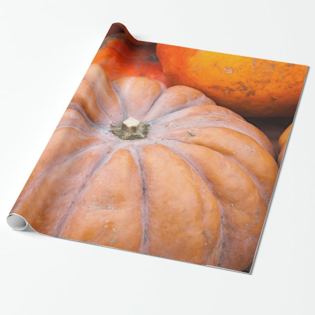 Pumpkin Season Presentpapper (Utrullad)