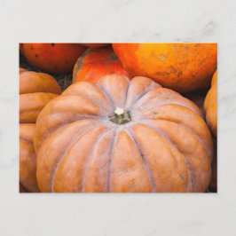 Pumpkin Season Vykort