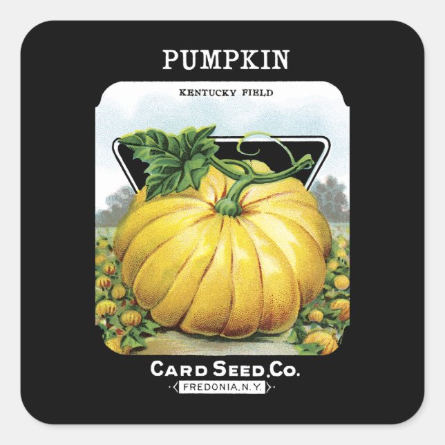Pumpkin Seed Packet Label Fyrkantigt Klistermärke (Framsida)