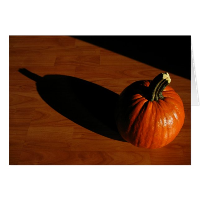 Pumpkin Shadow OBS Kort (Framsidan Horizontal)