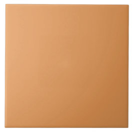 Pumpkin Spice Color | #E69855 Kakelplatta
