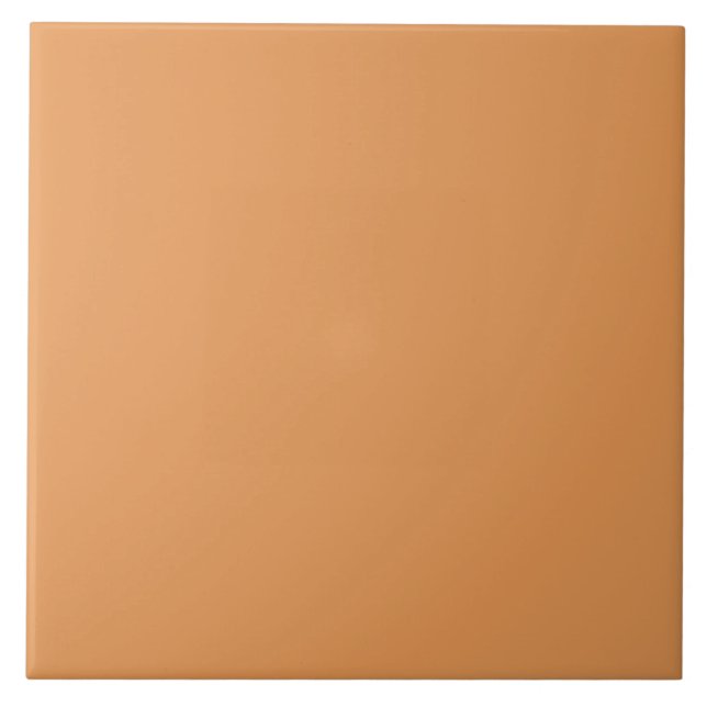 Pumpkin Spice Color | #E69855  Kakelplatta (Framsidan)