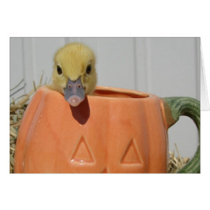 Pumpkin Spice Hälsningskort
