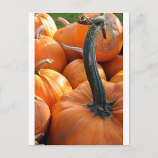 Pumpkin-stängning Vykort