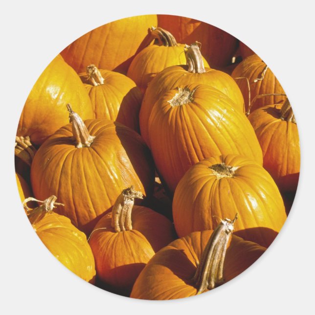 Pumpkin Stickers Runt Klistermärke (Framsida)