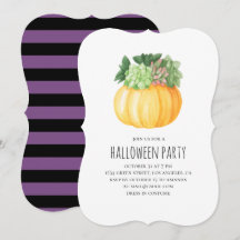 Pumpkin succulents. Lila och svart Halloween fest