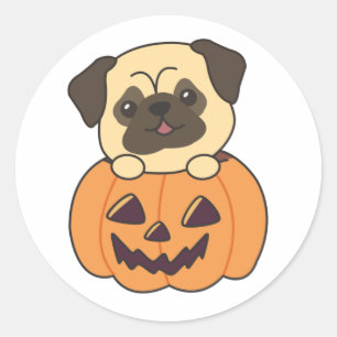 Pumpkin Sweet Hundar Happy halloween Runt Klistermärke